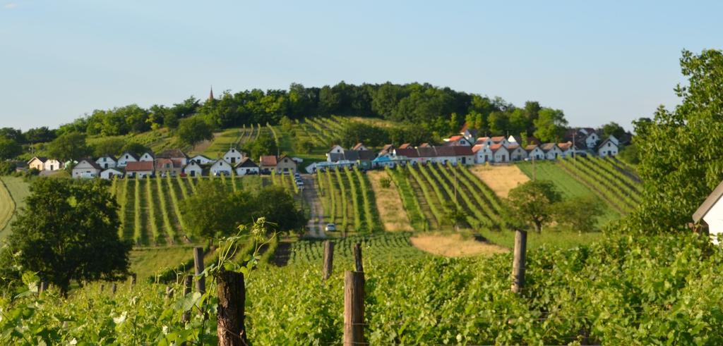 Ferienwohnung Herrmann Pottenhofen Luaran gambar